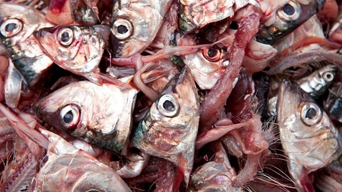 Κορονοϊός: Αποκαλύφθηκε και νέο σύμπτωμα - Τι είναι η παροσμία και πώς επηρεάζει 