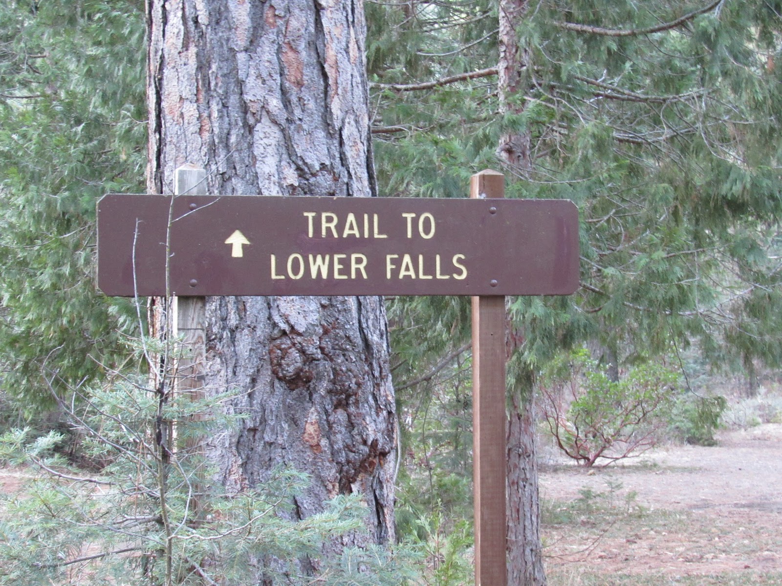 Vaughn the Road Again Fowlers Campground ⛺ McCloud, California