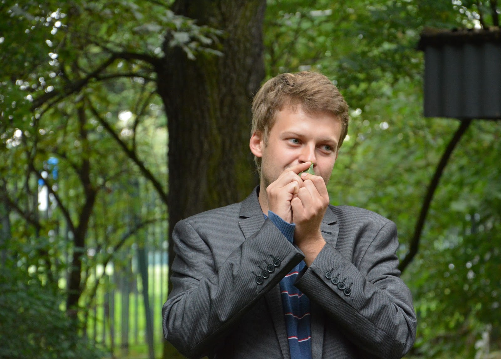 Zielonym do góry! Jak szukaliśmy roślin jadalnych w Parku Jordana w centrum Krakowa :)