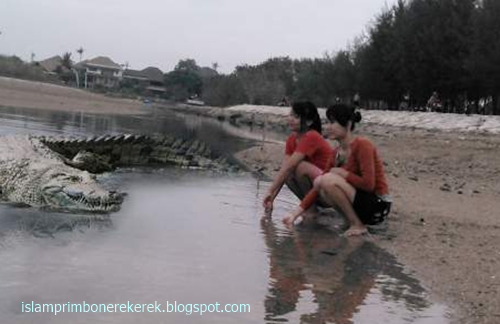 11 Arti Mimpi Tentang Buaya Menurut Islam Primbon Jawa Dan Erek Erek 2d 3d 4d Islam Primbon Erek Erek
