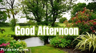 Best 50 Good Afternoon Images 2020 || Good Afternoon Images for Whatsapp Best 50 Good Afternoon Images 2020 || Good Afternoon Images for Whatsapp