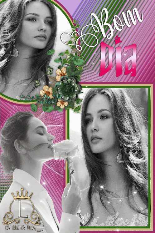 NOVO82%2B-%2528MB%2529maryluz.gif