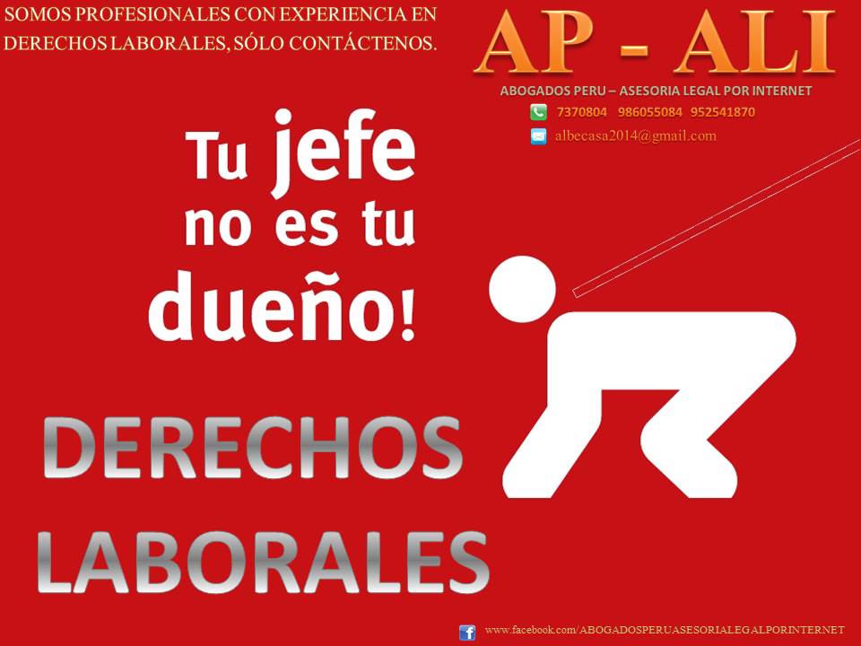 ABOGADOS PERU - ASESORIA LEGAL POR INTERNET: DEMANDA DE 