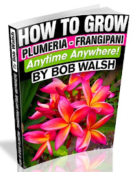 Plumeria Care Book For e-Reading Devices and Apps.