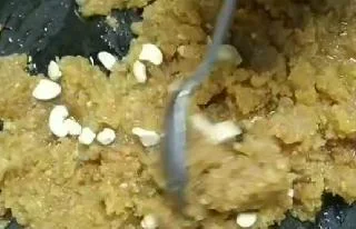 Mixing dry fruits for moong Dal halwa recipe