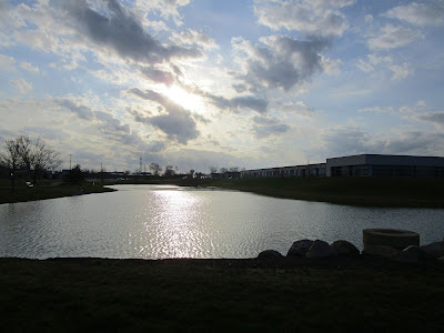 Pond in morning light