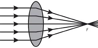 Dzolfyavqba5xm