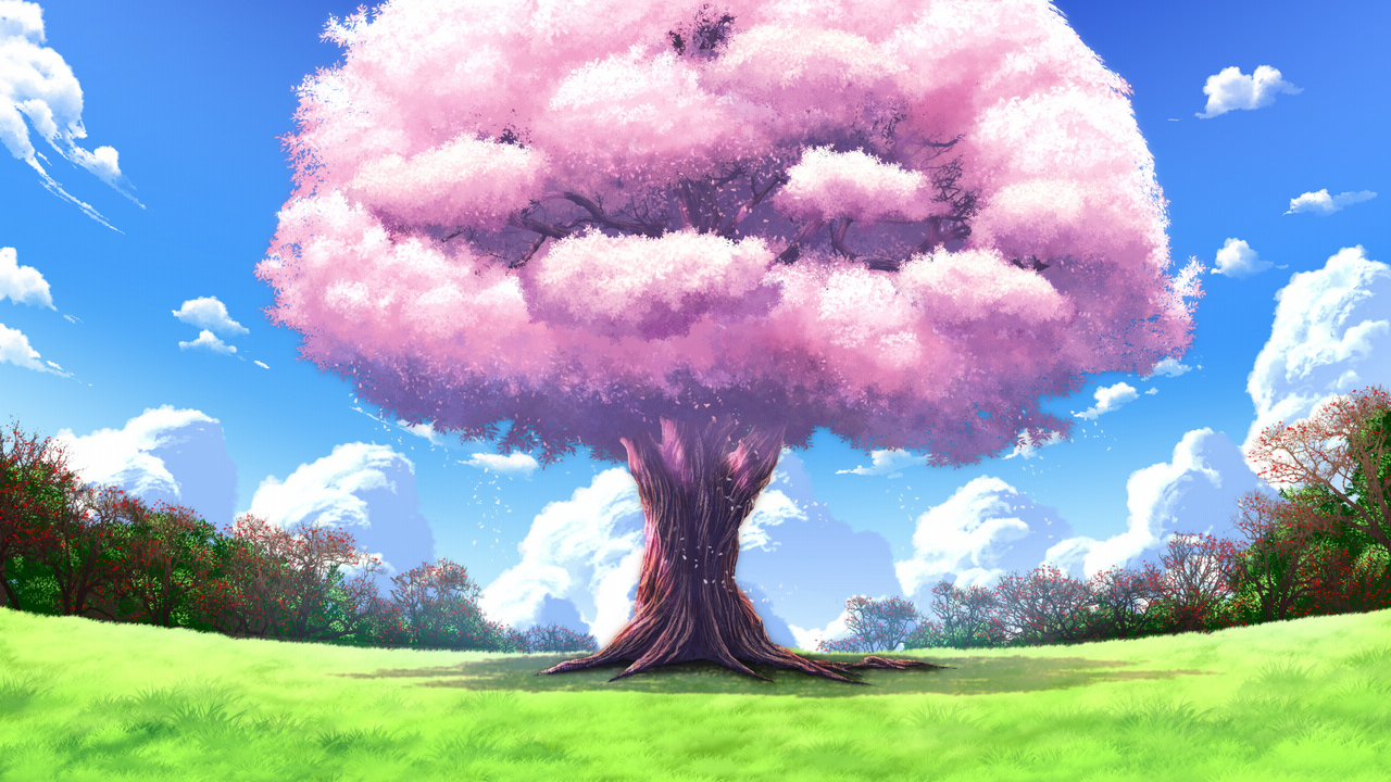 Anime Landscape: Anime Great Sakura Tree Background