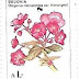 1985 - Argentina - Begonia micranthera