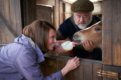 Dream Horse 2020 Toni Collette Owen Teale Image 1