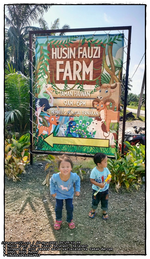 Pengalaman di Husin Fauzi Farm Kuala Selangor