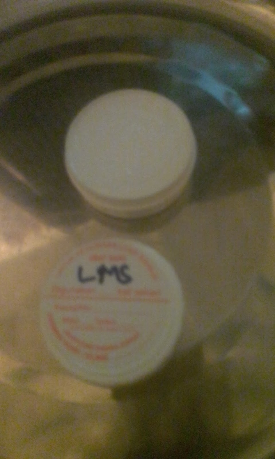 Food & Drink & Recipes Methyl Salicylate / Menthol Cream LMS For Muscle Pains.