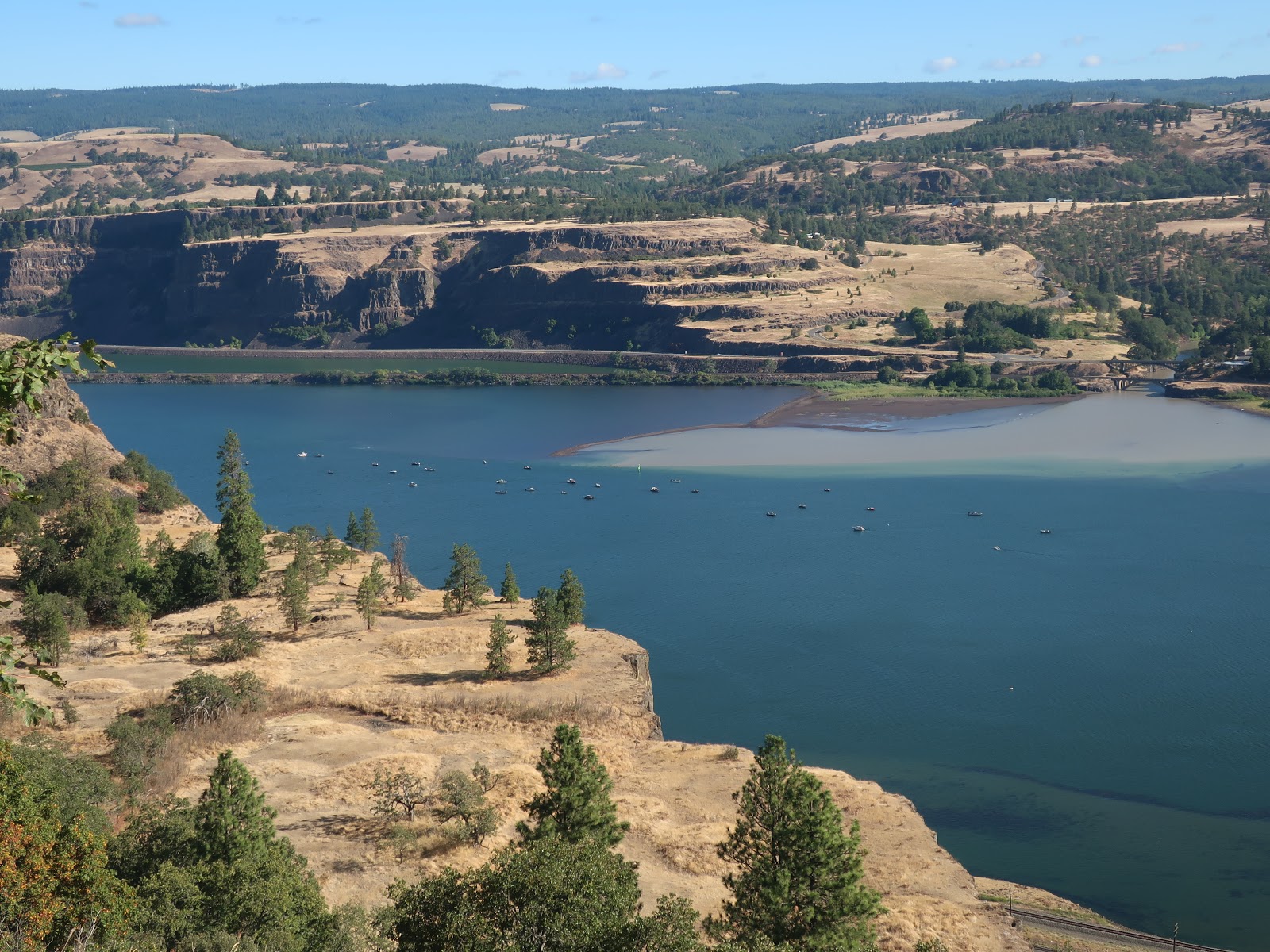 Reading the Washington Landscape Klickitat River Delta