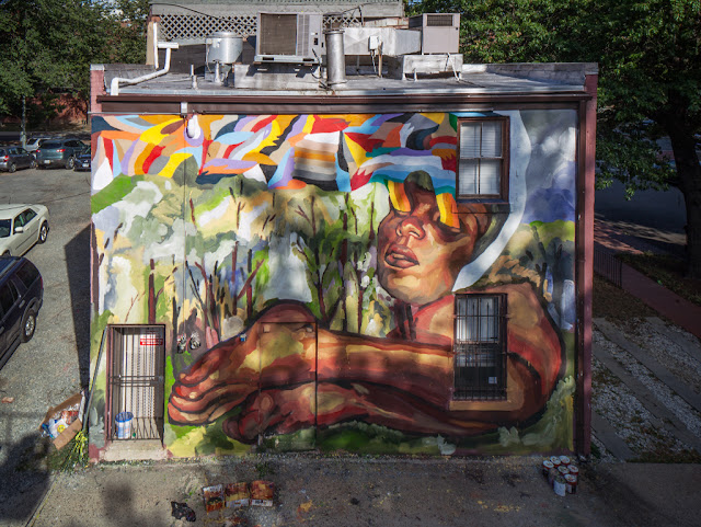 Street Art By Argentinian Painter Ever In Washington, USA. 2