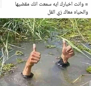 بوستات للفيس بوستات للفيس