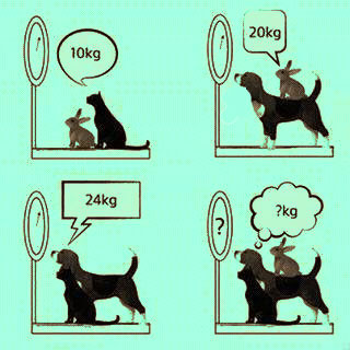 Permainan Matematika Untuk Anak SD - Matematrick