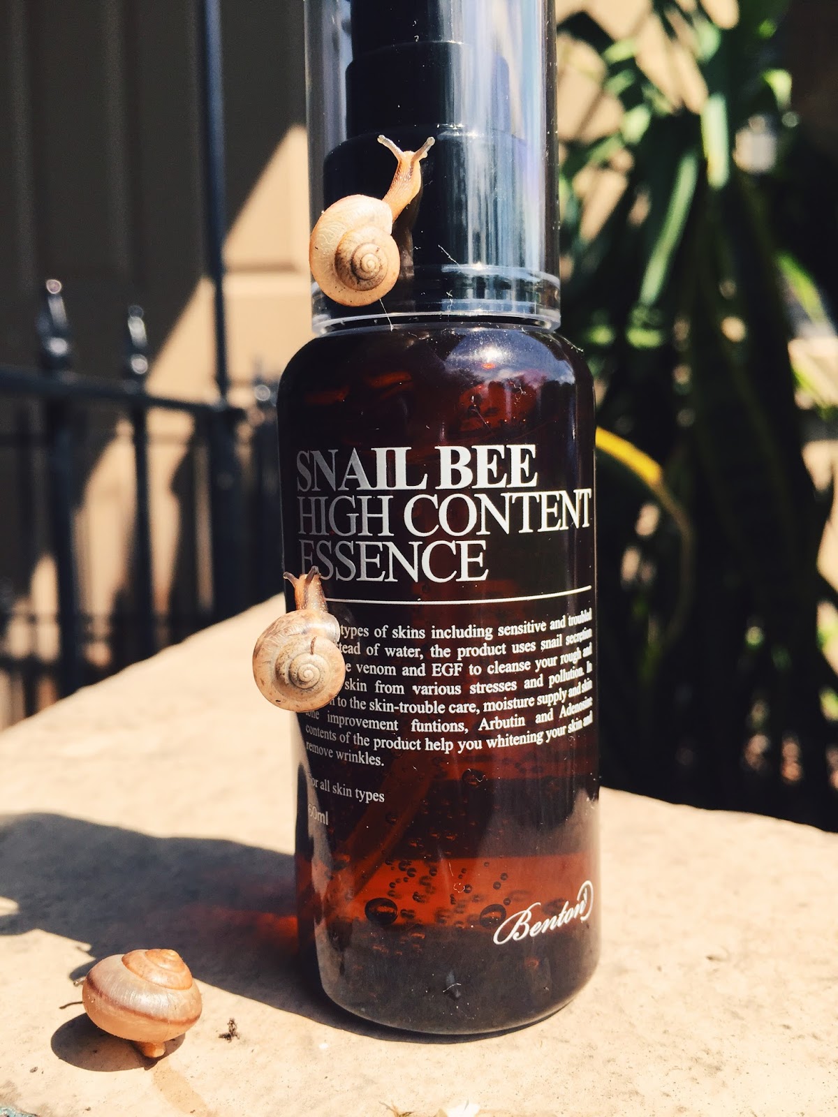 Relaxation Treatments at Home New In Benton Snail Bee High Content