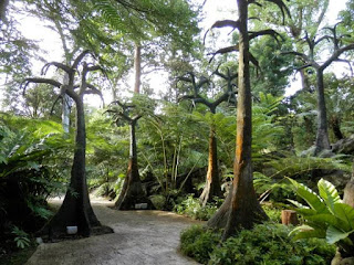 Botanic gardens singapore