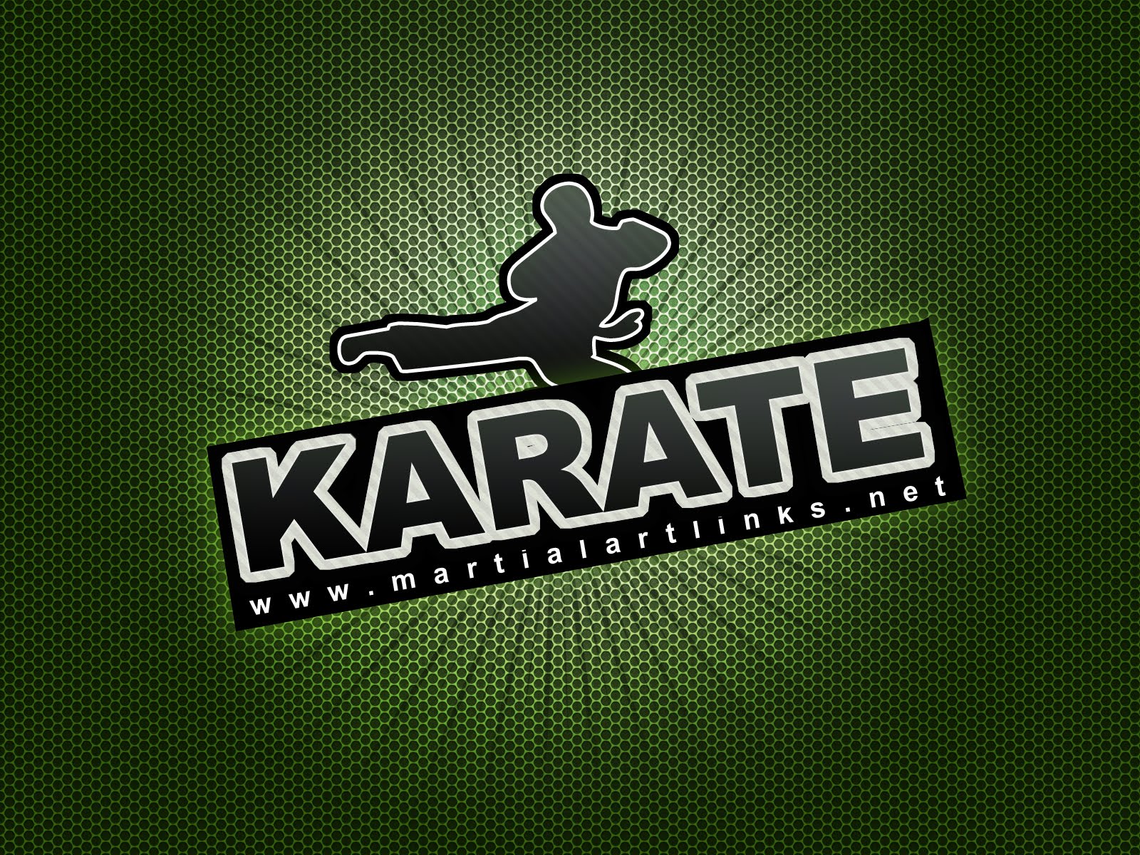 Kumpulan Koleksi Wallpaper Karate Keren Info Gambar