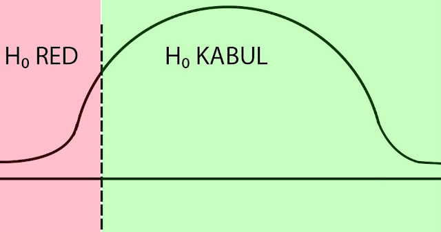 HİPOTEZ TESTLERİNDE TEK KUYRUK VE ÇİFT KUYRUK BELİRLEME HİPOTEZ TESTLERİNDE TEK KUYRUK VE ÇİFT KUYRUK BELİRLEME