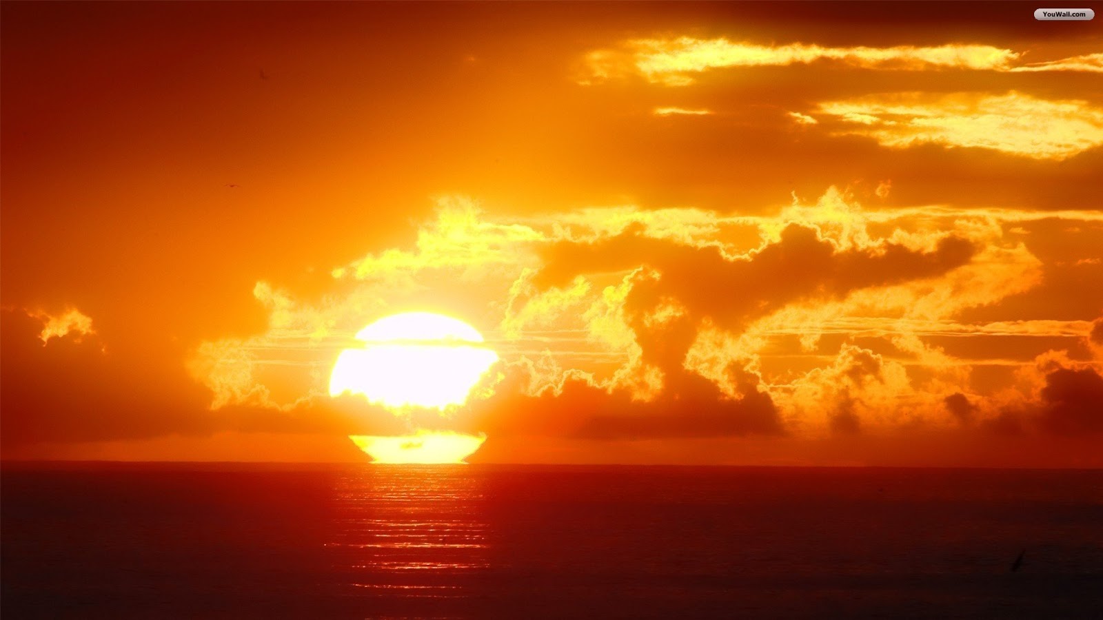 Muhammad Nouman Ali sheroz Awais iqbal Talha Mohsin Riaz: Sunset