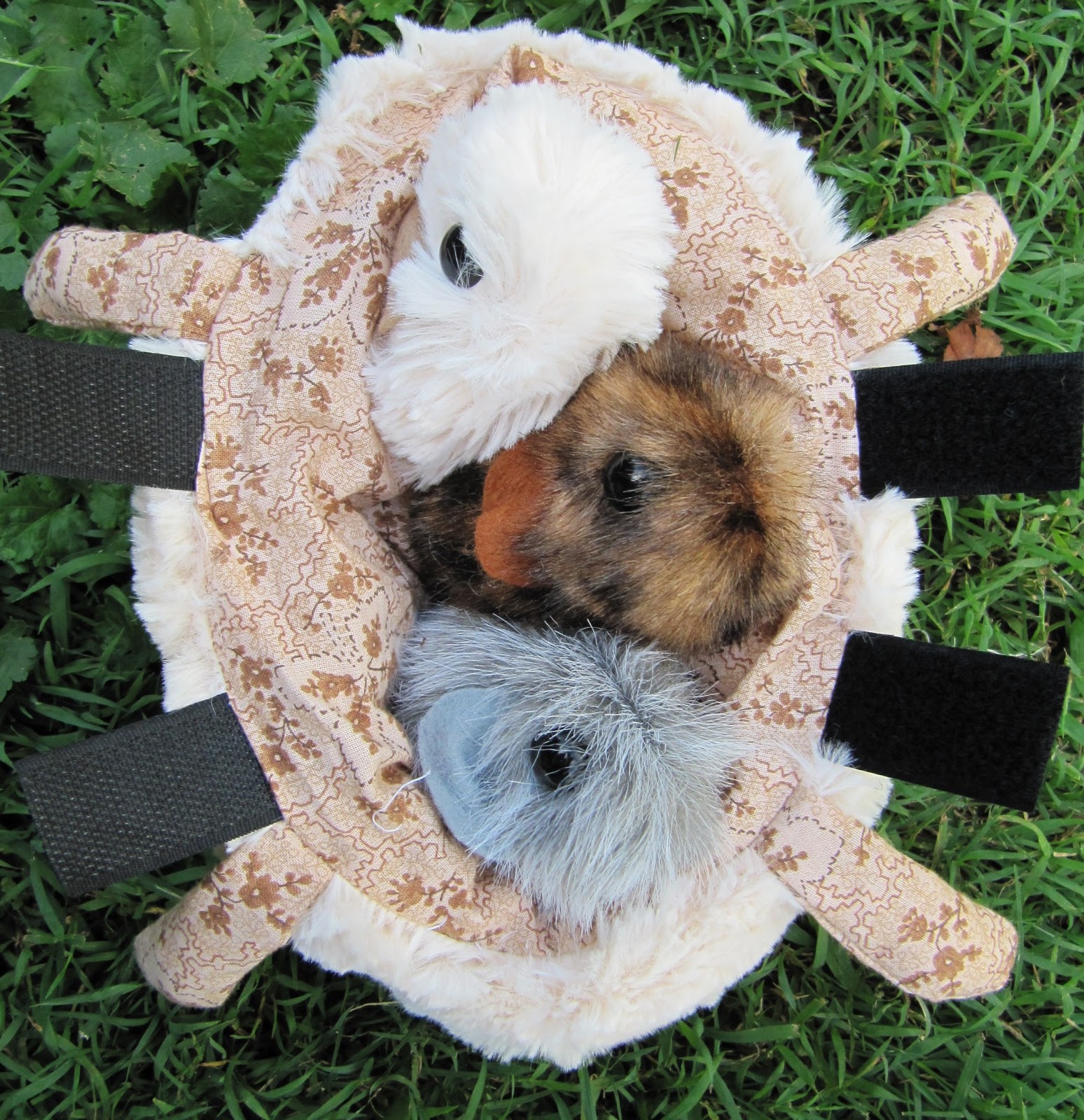 All Things Guinea Pig Guinea Pig Toy PATTERNS make your own