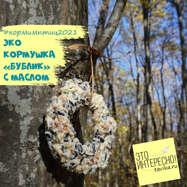 Как сделать кормушку для птиц из масла Как сделать кормушку из масла и жира