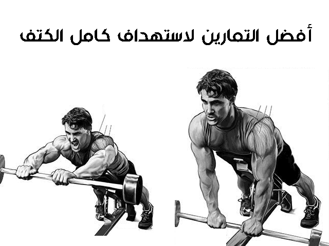 تمرينة كتف كاملة