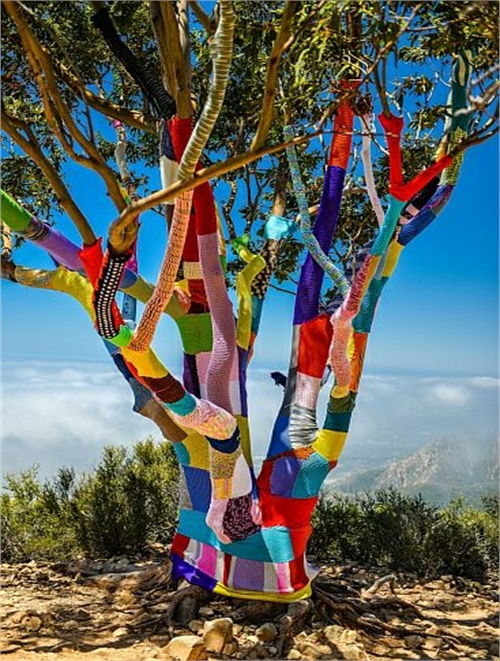 Creative Yarn Bombed Trees [5 pics]
