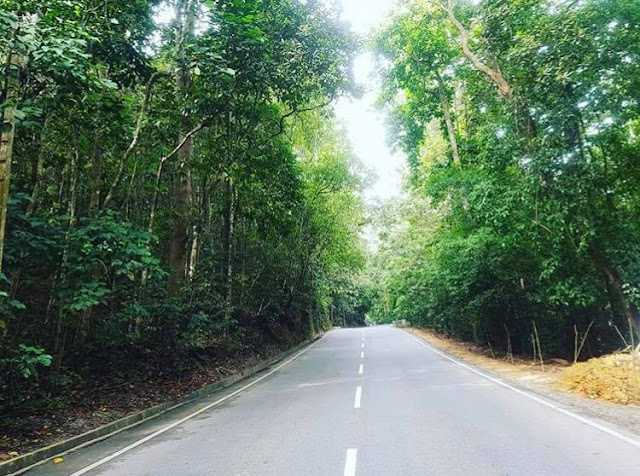 ගාල්ලේ - කොට්ටව පුංචි සිංහරාජයට යමු ද? 🍃🎍🌴 (Kottawa Forest) - Your Choice Way