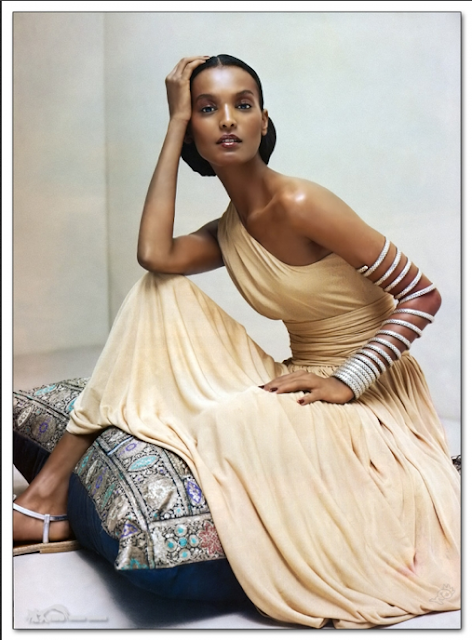 A TOUCH OF STYLE: Perfect Beauty: Liya Kebede