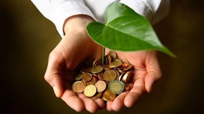 Potensi Zakat Produktif Penyaluran Dana Dan Pembagian Zis