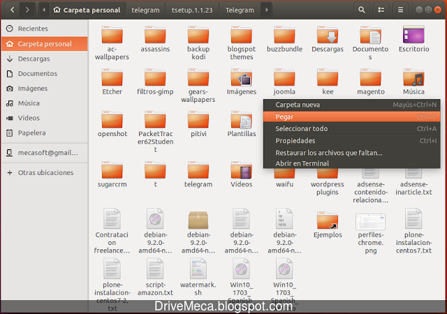 Pegamos la nueva carpeta Telegram en nuestro Home Pegamos la nueva carpeta Telegram en nuestro Home