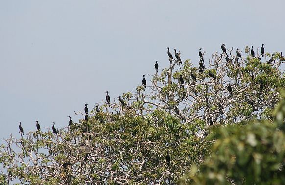 Wisata Pulau dua (Pulau burung), Serang, Banten | Infoindoku