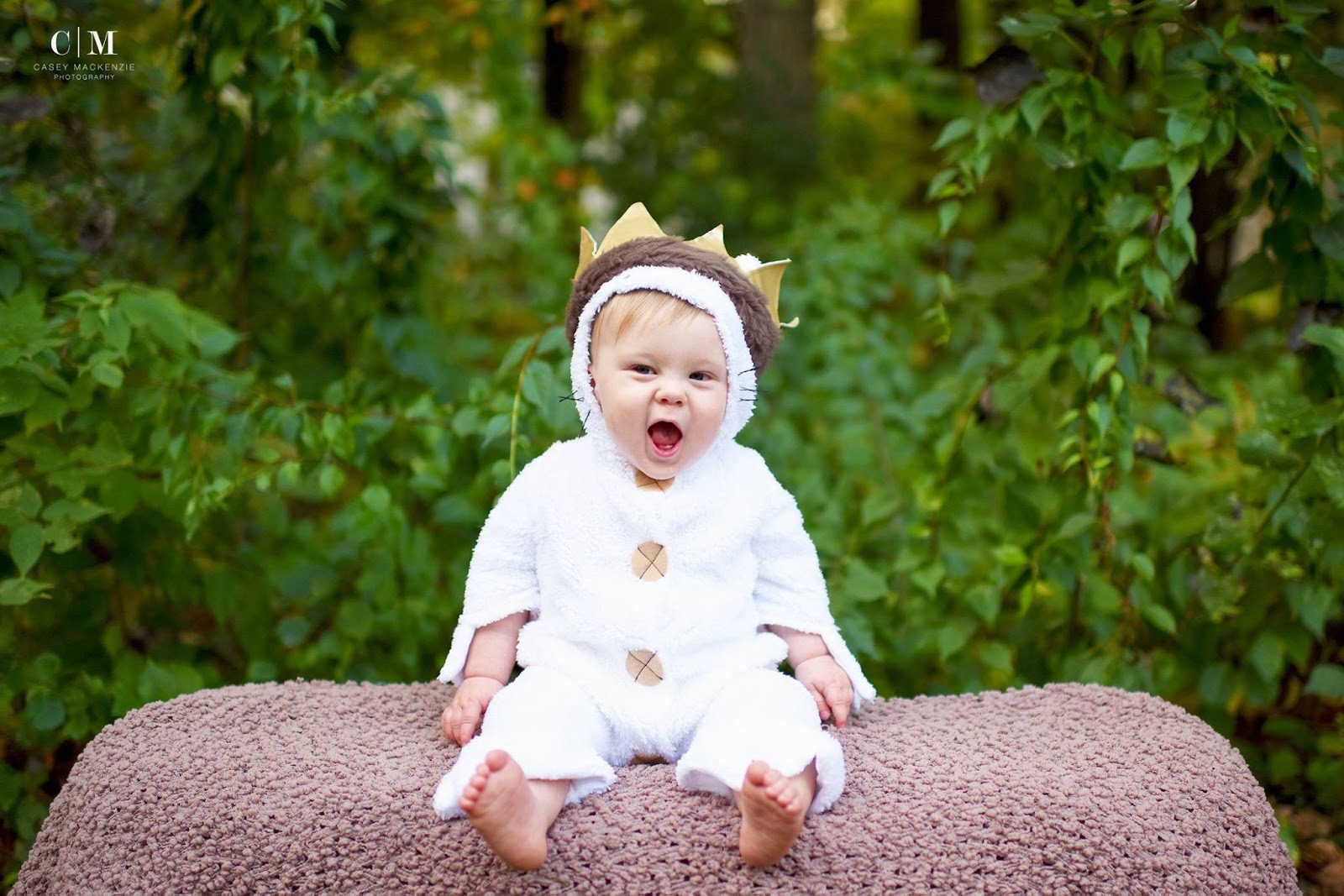 wild one smash cake outfit