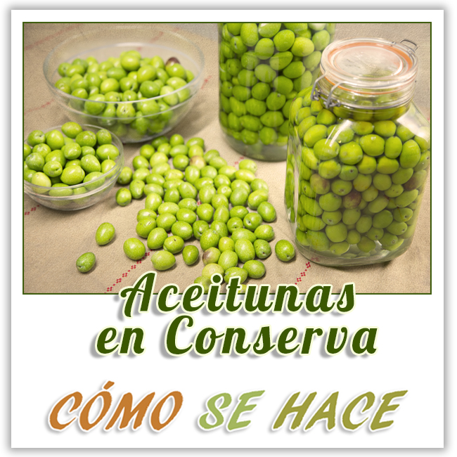 Cómo preparar aceitunas en conserva, curadas en salmuera.