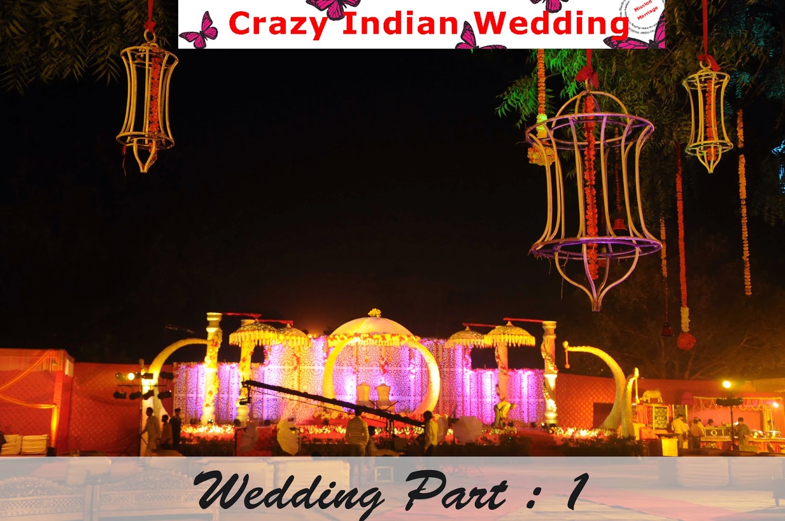 Crazy Indian Wedding grand indian wedding
