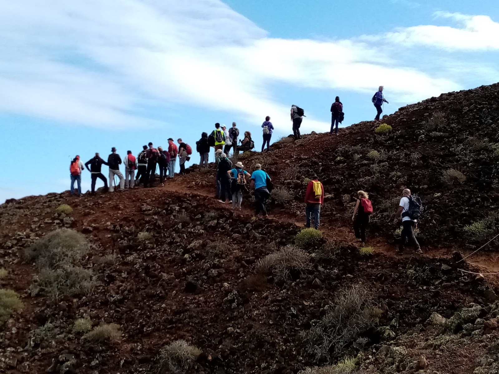 DRAGO de SATAUTE Visita a la Isleta