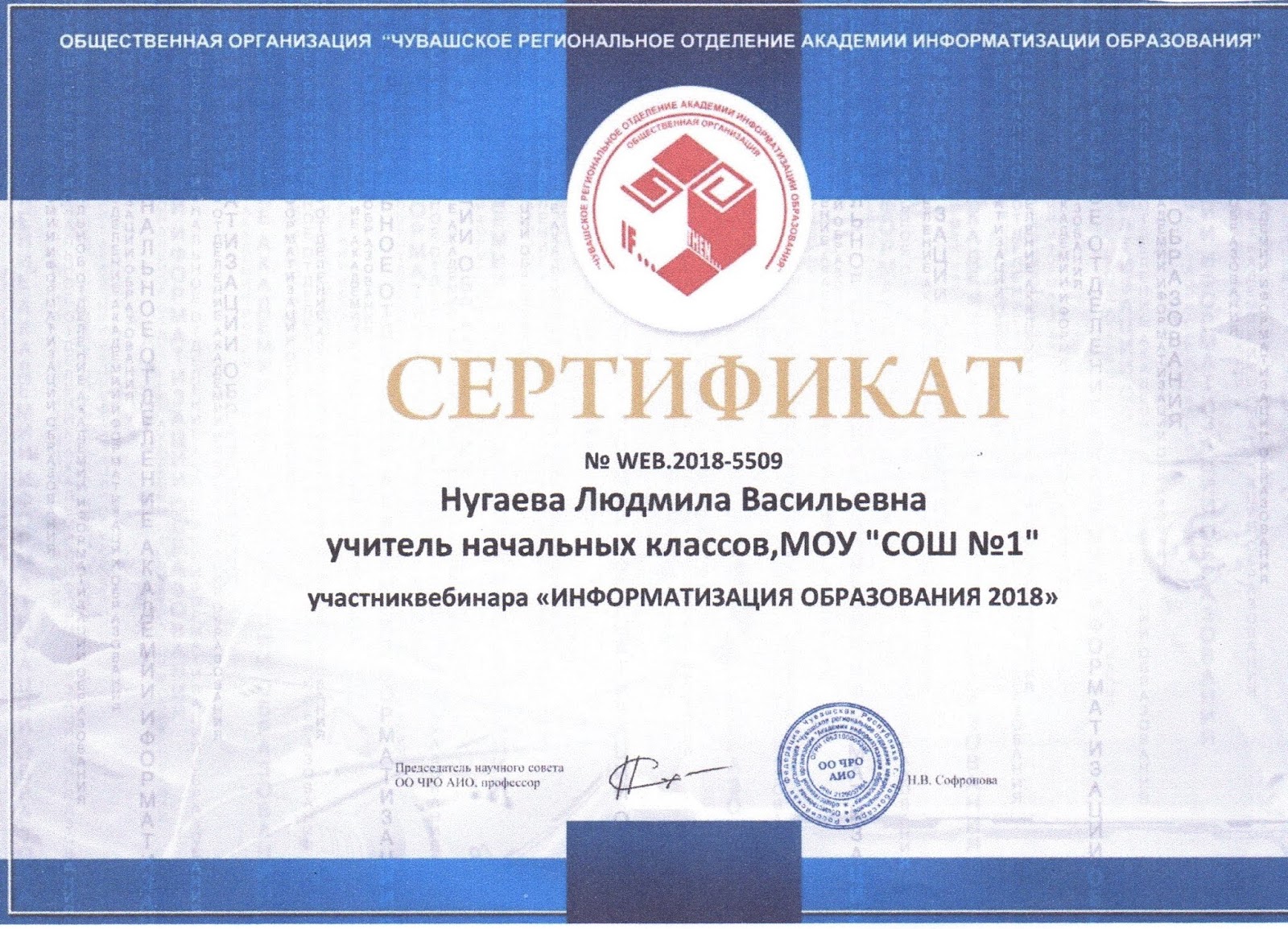 Вебинары преподаватель. Сертификат Информатика. Сертификат для информатики. Сертификат по вебинарам по информатике.