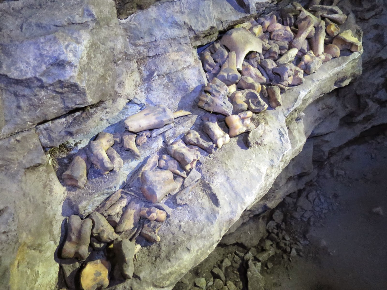 cramptonclan2 Rat's Nest Cave