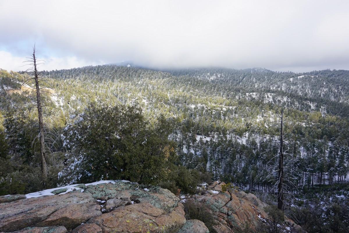 Harriman Hiker Harriman State Park and Beyond Box Springs Trailhead