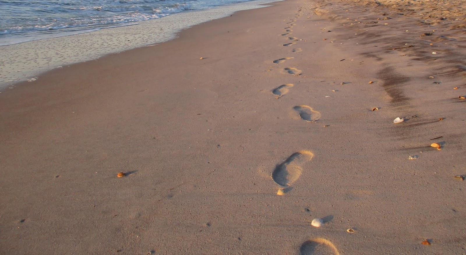 Heart and Sole Footprints in the Wilderness