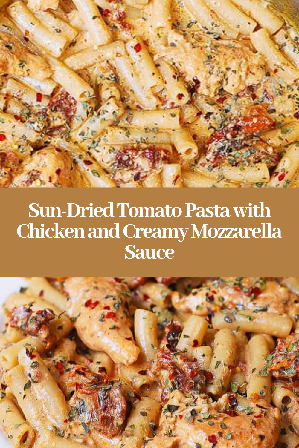 SunDried Tomato Pasta with Chicken and Creamy Mozzarella Sauce