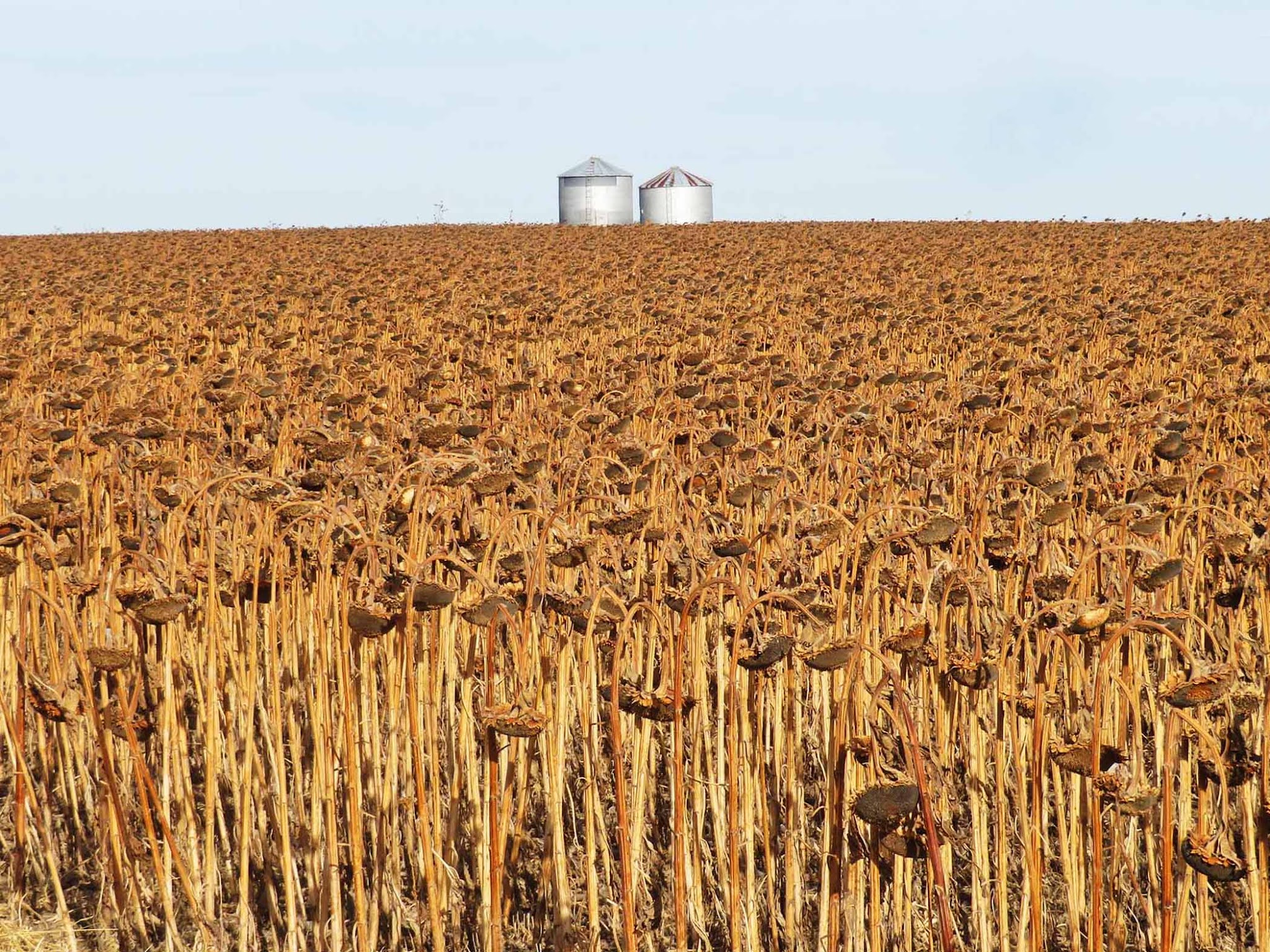 Geographically Yours Dalton, Nebraska, USA