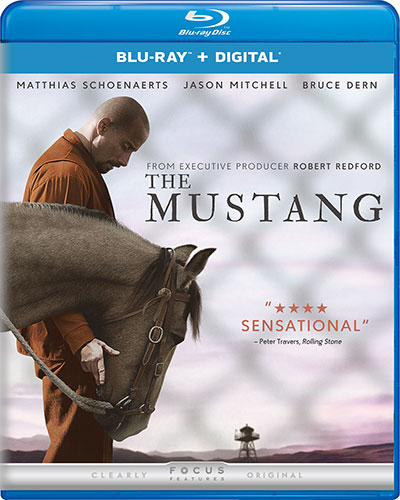 The Mustang (2019) 1080p BDRip Dual Audio Latino-Inglés [Subt. Esp] (Drama)