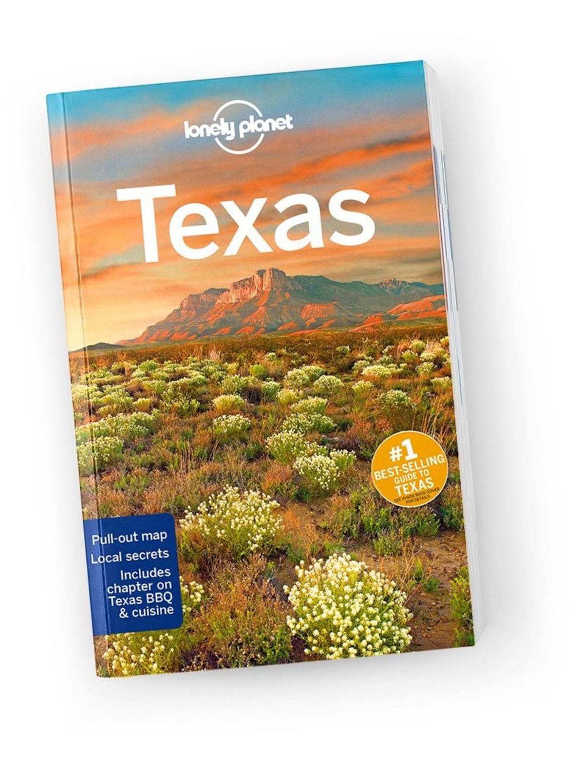 texas travel guide book