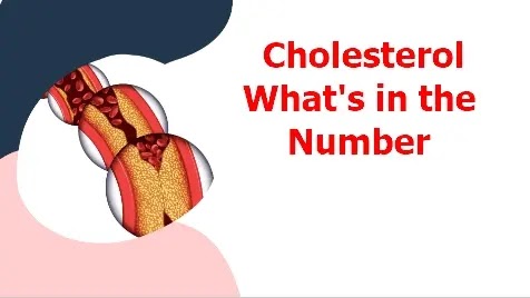 Cholesterol What's in the Number Cholesterol What's in the Number