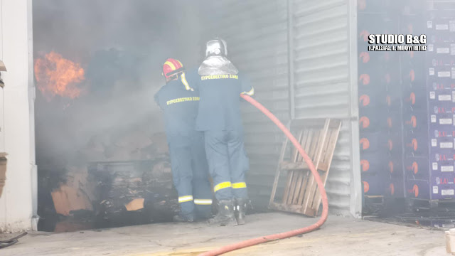 Αργολίδα: Μεγάλες ζημιές προκάλεσε η φωτιά σε εργοστάσιο στο Παναρίτι (βίντεο) Αργολίδα: Μεγάλες ζημιές προκάλεσε η φωτιά σε εργοστάσιο στο Παναρίτι (βίντεο)
