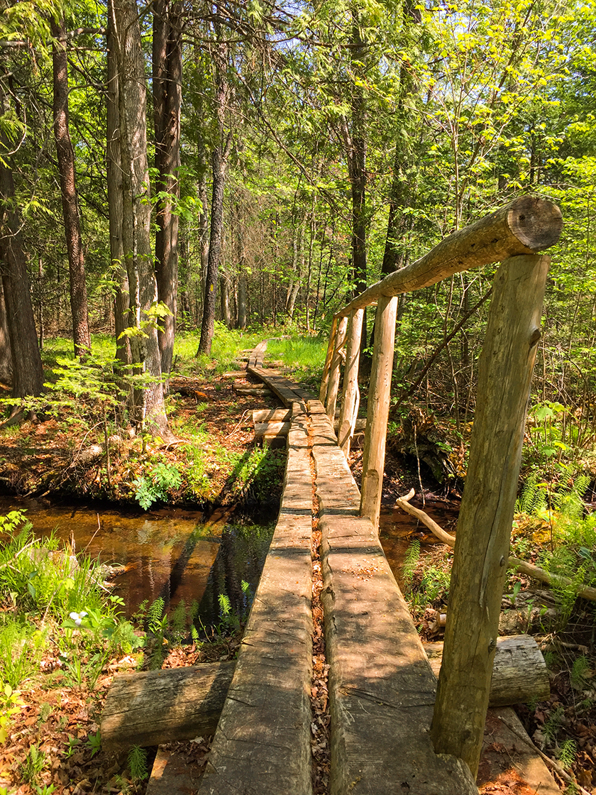 Wisconsin Explorer Hiking the Ice Age Trail Plover River Segment