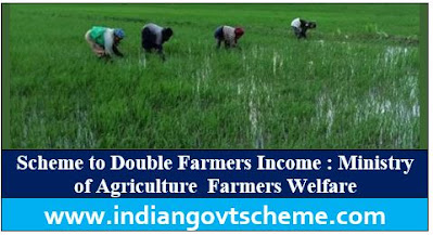 Double Farmers Income